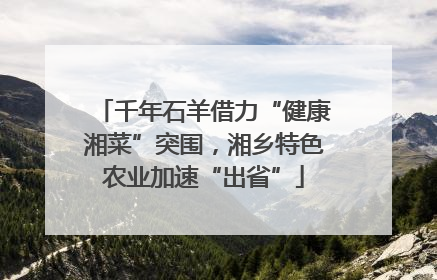 千年石羊借力“健康湘菜”突围，湘乡特色农业加速“出省”